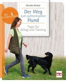 Der Weg zum aufmerksamen Hund