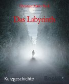 Das Labyrinth (eBook, ePUB)