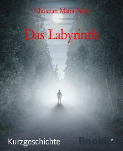 Das Labyrinth (eBook, ePUB) - Maria Beck, Christian