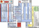 COVID-19 Beatmungs-Karten Set 2020 (2 Karten Set) - Respirator-Einstellungen: COVID19 mit ARDS oder mit respiratorischer Insuffizienz - SARS-CoV-2
