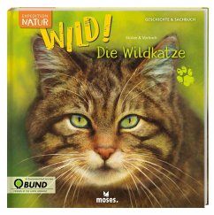 Expedition Natur: WILD! Die Wildkatze - Stütze, Annett;Vorbach, Britta