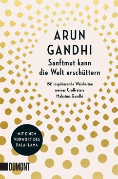 Sanftmut kann die Welt erschüttern - Gandhi, Arun