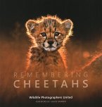 Remembering Cheetahs Remembering Cheetahs