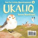 Ukaliq: Snow Buntings!