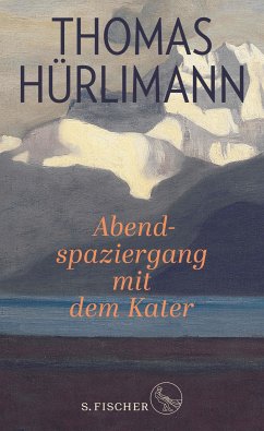 Abendspaziergang mit dem Kater (eBook, ePUB) - Hürlimann, Thomas