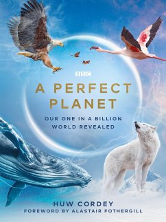 A Perfect Planet - Cordey, Huw