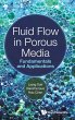 FLUID FLOW IN POROUS MEDIA - Bild 1