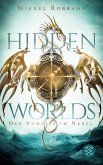 Der Kompass im Nebel / Hidden Worlds Bd.1 (eBook, ePUB)
