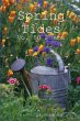 Spring Tides - Bild 1
