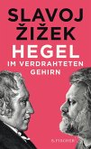 Hegel im verdrahteten Gehirn (eBook, ePUB)