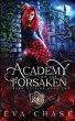 Academy of the Forsaken - Bild 1