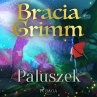 Paluszek (MP3-Download) - Bild 1