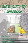 Bird Out My Window