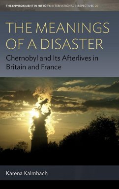 The Meanings of a Disaster - Kalmbach, Karena