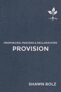 Provision: Prophecies, Prayers & Declarations Volume 2 - Bolz, Shawn