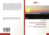 Travaux de consolidation des terre-pleins