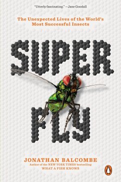 Super Fly - Balcombe, Jonathan