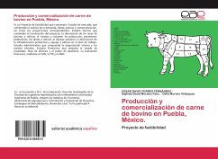 Producción y comercialización de carne de bovino en Puebla, México.