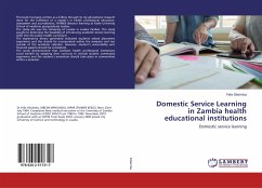 Domestic Service Learning in Zambia health educational institutions