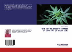 Folic acid reverses the effect of cannabis on brain cells