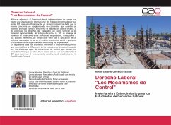 Derecho Laboral &quote;Los Mecanismos de Control&quote;