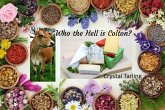Who the Hell is Colton? (The Fuller Family) (eBook, ePUB)