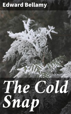 The Cold Snap (eBook, ePUB) - Bellamy, Edward