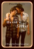 David's Secret: A Western Short Story of Love and Lust (eBook, ePUB) David's Secret: A Western Short Story of Love and Lust (eBook, ePUB)
