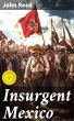 Insurgent Mexico (eBook, ePUB) - Bild 1