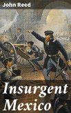 Insurgent Mexico (eBook, ePUB)