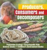 Producers, Consumers and Decomposers... - Bild 1