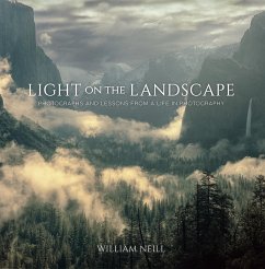 Cover Light on the Landscape (eBook, ePUB)