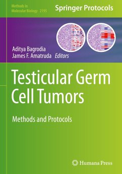 Testicular Germ Cell Tumors
