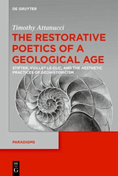 The Restorative Poetics of a Geological Age - Attanucci, Timothy