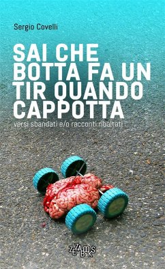 Cover Sai che botta fa un TIR quando cappotta - II edizione (eBook, ePUB)