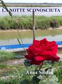 Una notte sconosciuta (eBook, ePUB)