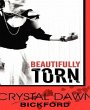 Beautifully Torn (eBook, ePUB) - Bild 1