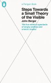 Steps Towards a Small Theory of the Visible (eBook, ePUB)