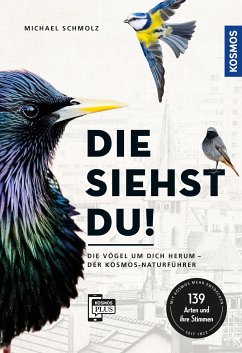 Die siehst du! (eBook, ePUB) - Schmolz, Michael