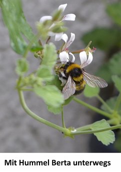 Mit Hummel Berta unterwegs - Fleck, Henriette