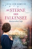 Die Sterne über Falkensee / Gut Falkensee Bd.2