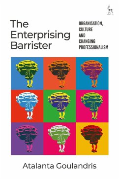 The Enterprising Barrister (eBook, PDF) - Goulandris, Atalanta