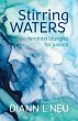 Stirring Waters (eBook, ePUB) - Bild 1