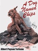 A Dog Named Chips (eBook, ePUB)