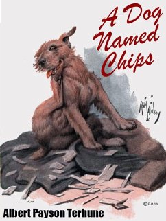 A Dog Named Chips (eBook, ePUB) - Terhune, Albert Payson