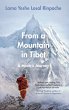 From a Mountain In Tibet (eBook, ePUB) - Bild 1