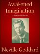 Awakened Imagination (eBook, ePUB) - Bild 1