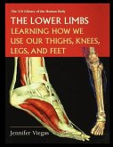 The Lower Limbs: Learning How We Use Our Thighs, Knees, Legs, and Feet