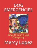 Dog Emergencies: What to do in a Dog Emergency