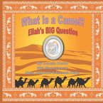 What Is a Camel?